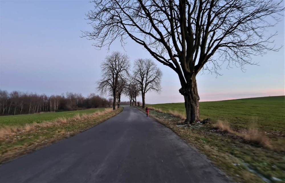 20201227_160054.jpg