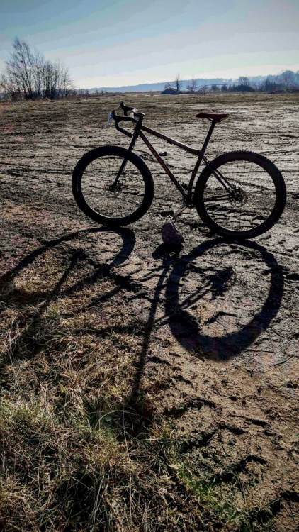 753475492_IMG_20210222_101957460_HDR_compress922.thumb.jpg.21251eb9f0a05244b8146994ddc31ddb.jpg