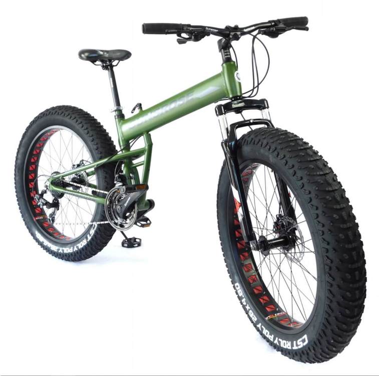 Fat bike2.jpeg