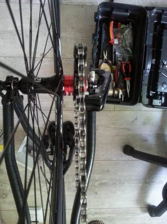 received_813565269291620.jpeg