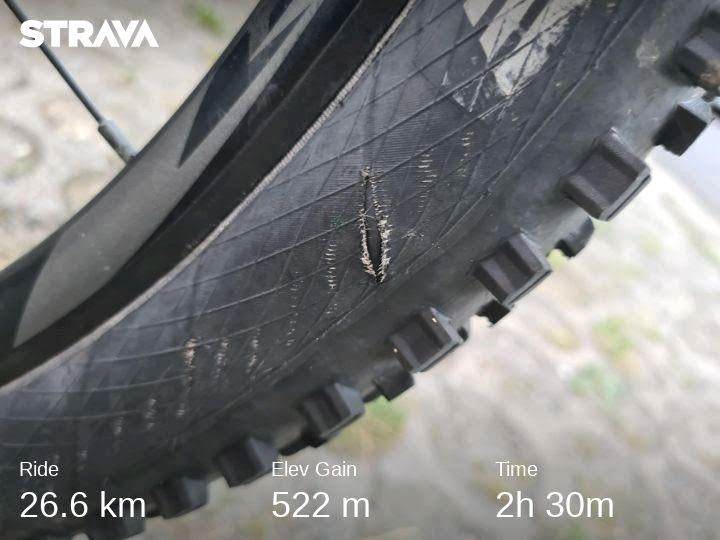 strava7755948148776602119.jpg.1c5f125f7bd2a3554dea95ee61f13376.jpg