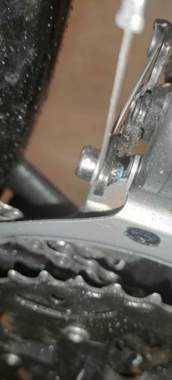 IMG20220103190132.jpg