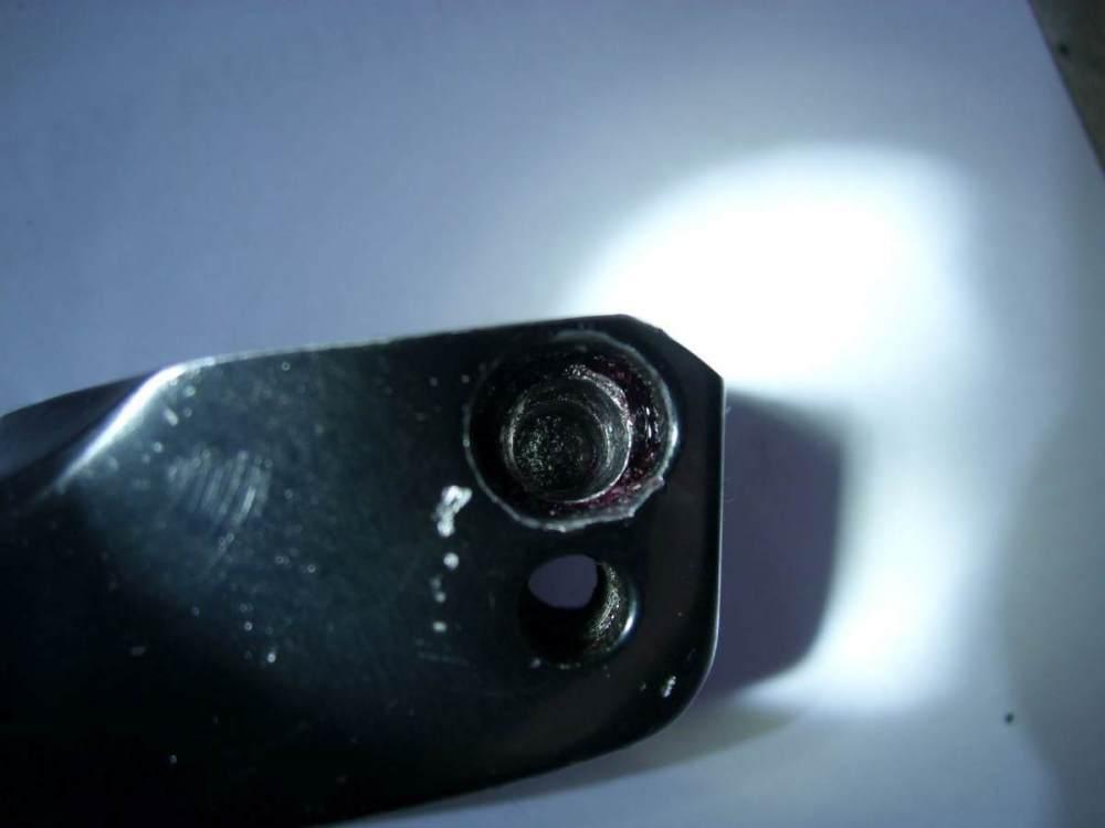SL276785.JPG