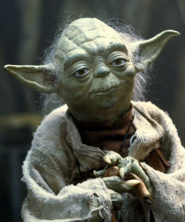 Yoda_SWSB-853x1024.thumb.png.b2d40a495e64886cba331cbe6176fc31.png