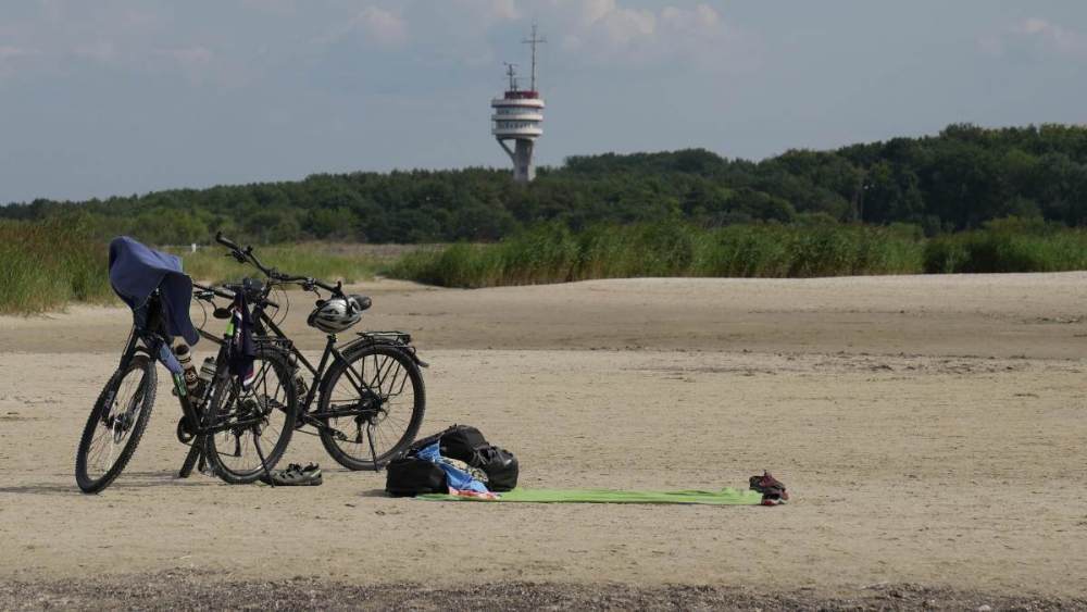 1 Rozgoniłem towarzystwo po plaży w środku lata. xxx.jpg