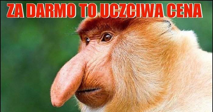za-darmo-to-uczciwa-cena_2020-08-10_16-47-09.jpg.376227ba04909c87109f2b28c02ae66a.jpg