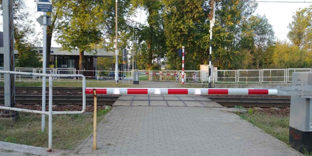 20230912_175258.jpg