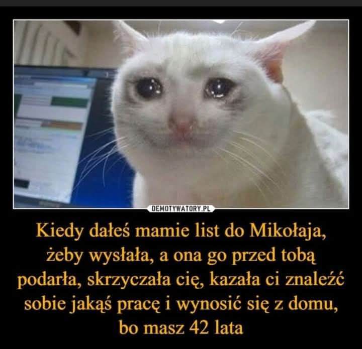 ZdjcieWhatsApp2024-12-19o18_35.05_6bef2cab.jpg.871f3c44f41bd0ce0118b4b00e7e9f4a.jpg