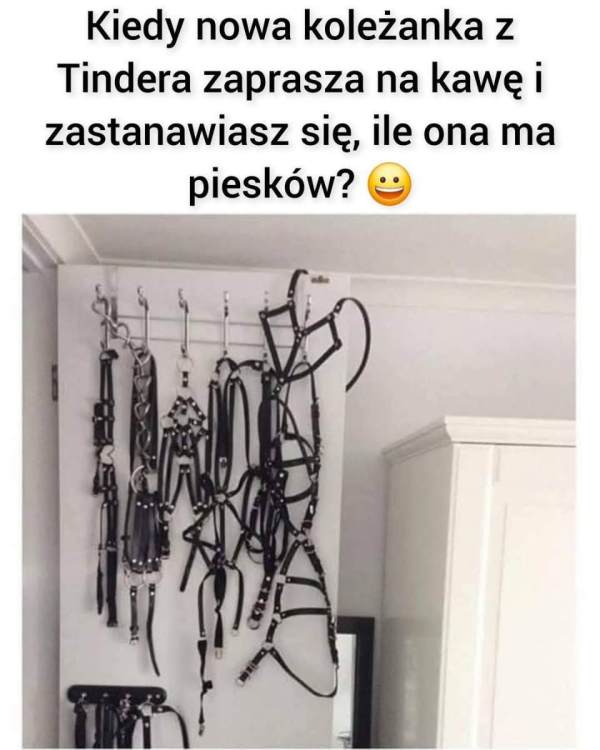 image.thumb.jpeg.a7cc447d8704fce049afb11745c723e9.jpeg