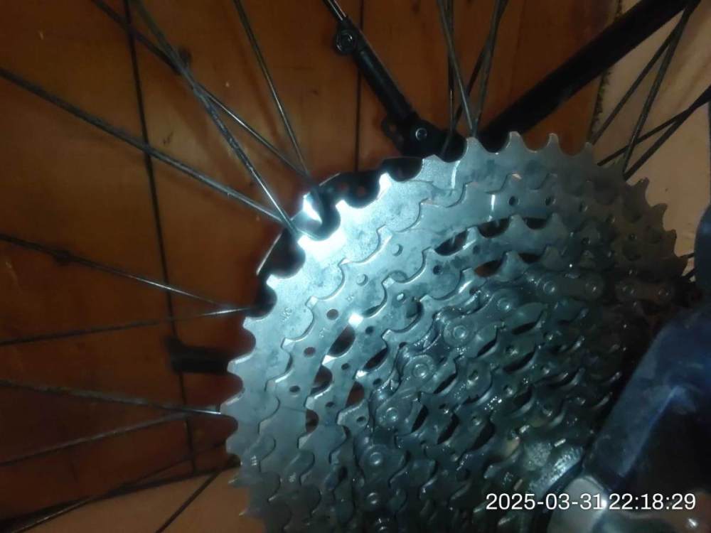 20250331_221829.jpg