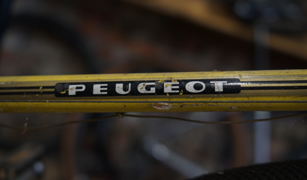 DSC03892.thumb.png.4f8640585965d302c78f51da0a7fe655.png