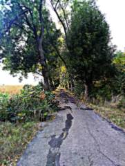 IMG_20231001_144741.jpg