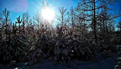 WP_20210131_10_14_01_Pro.jpg