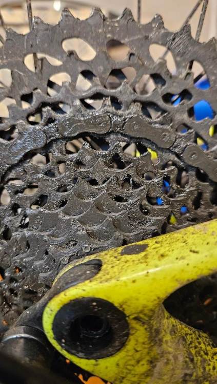 sram1(1).jpg.f3a80ffb8a08259514c840170f1f99b0.thumb.jpg.24aaeb6ed7d9bf7b0e8bf3f6a66559bc.jpg