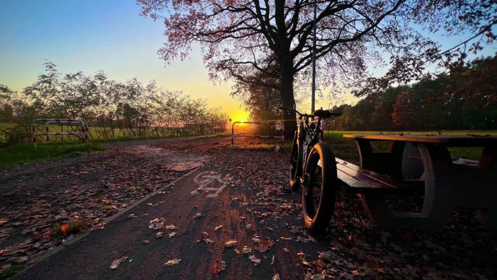 Zdjęcie WhatsApp 2025-11-11 o 11.43.18_48cefdfc.jpg