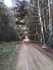 IMG_20250913_100006.jpg