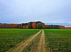 IMG_20251102_110627_HDR.jpg