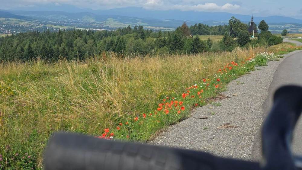 20260716_095026.jpg