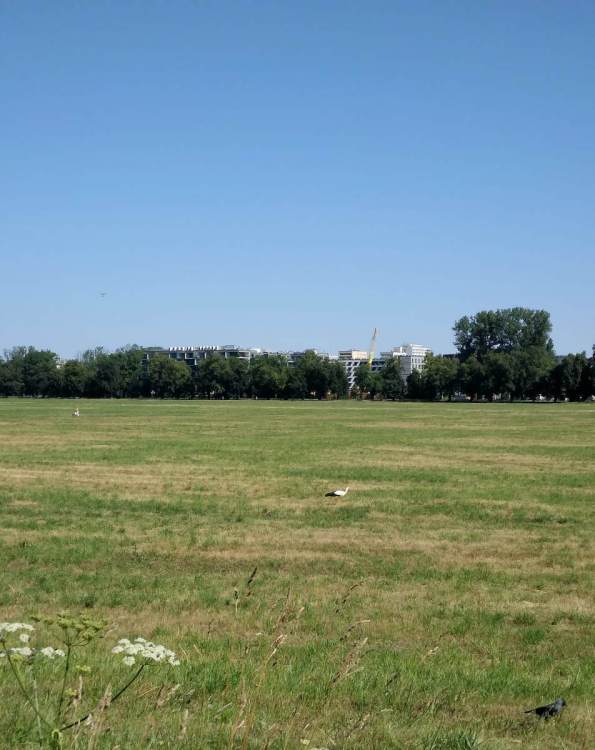 20260726_094202.jpg
