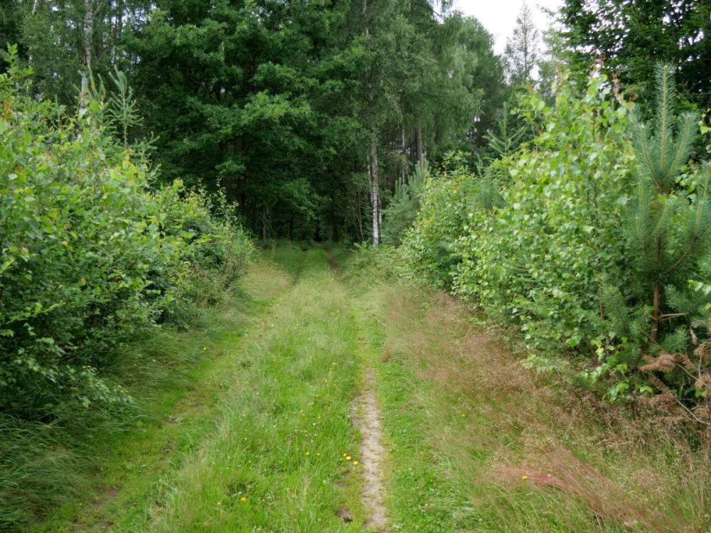 P1077622.thumb.JPG.7fcb68eeb0abcf1a0c92ce4e4df3f703.JPG