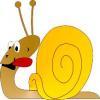 Snail